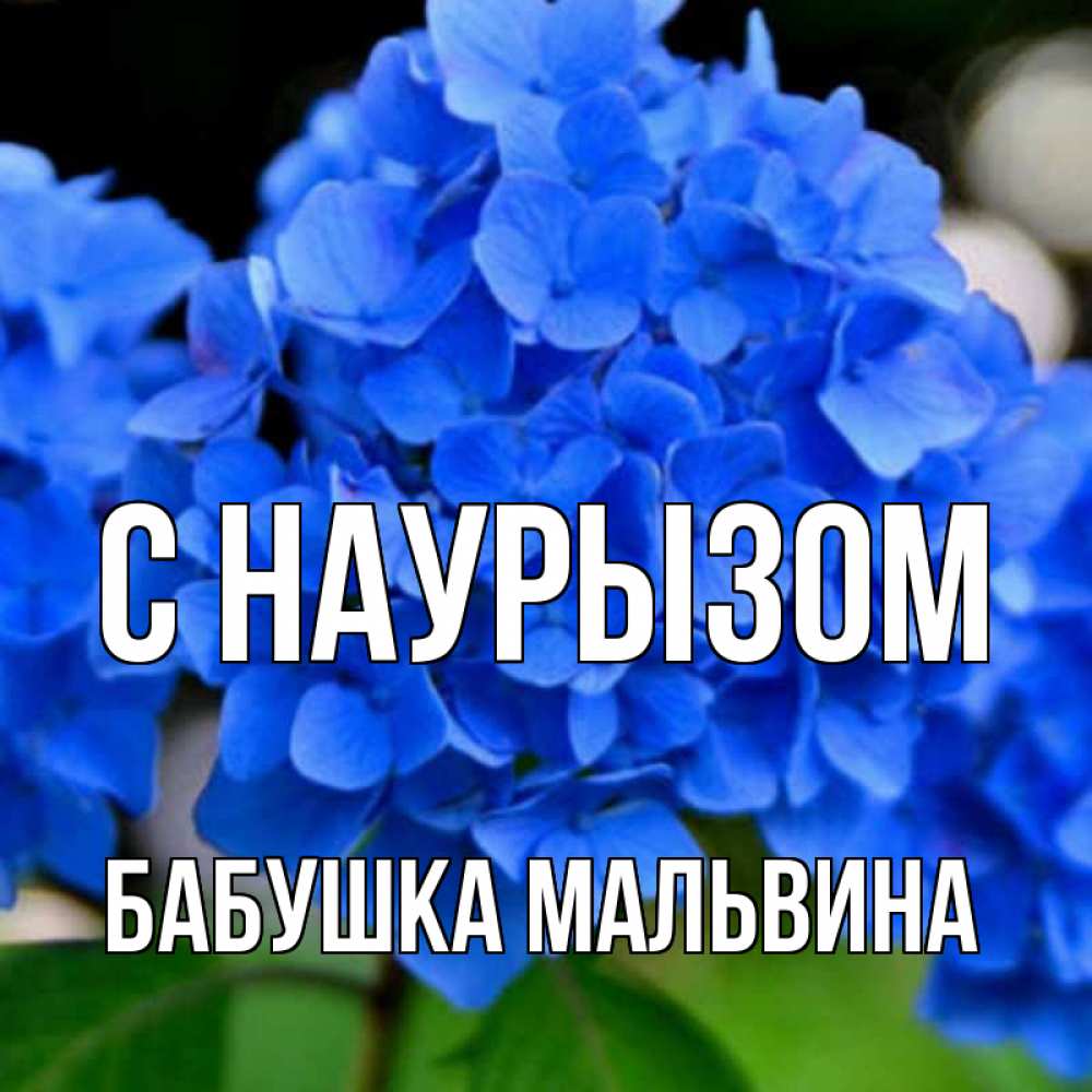 Открытка на каждый день с именем, Бабушка-Мальвина С наурызом синие цветы Прикольная открытка с пожеланием онлайн скачать бесплатно 