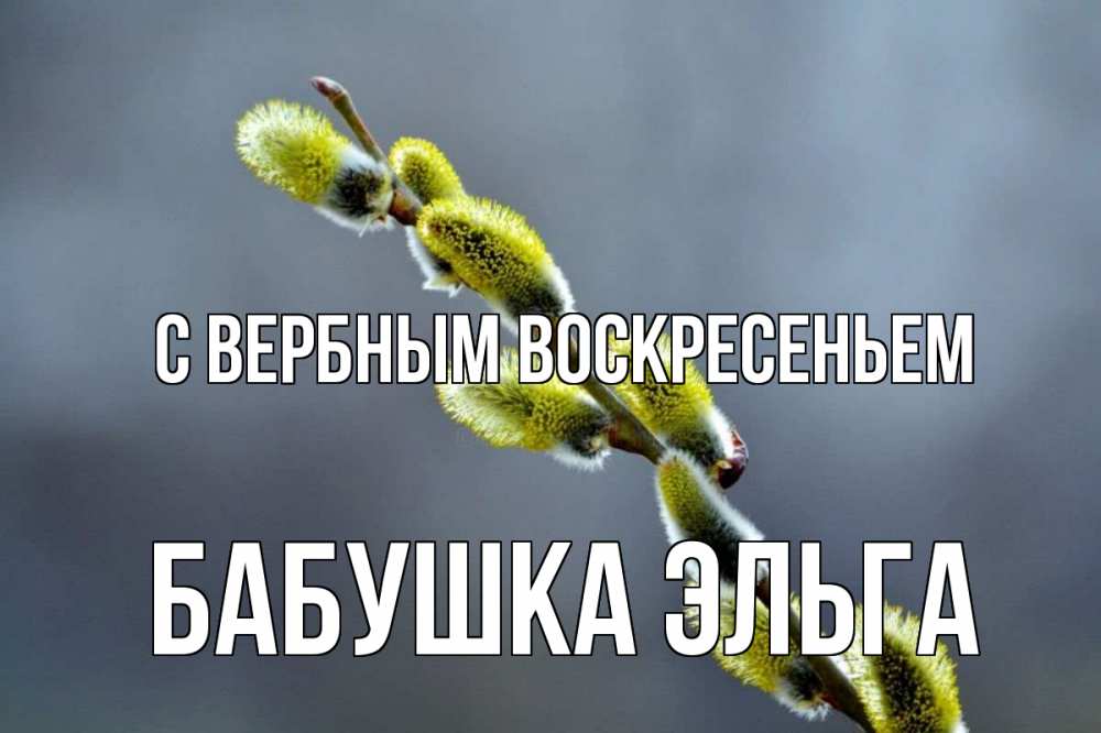Открытка на каждый день с именем, Бабушка-Эльга С вербным воскресеньем верба Прикольная открытка с пожеланием онлайн скачать бесплатно 