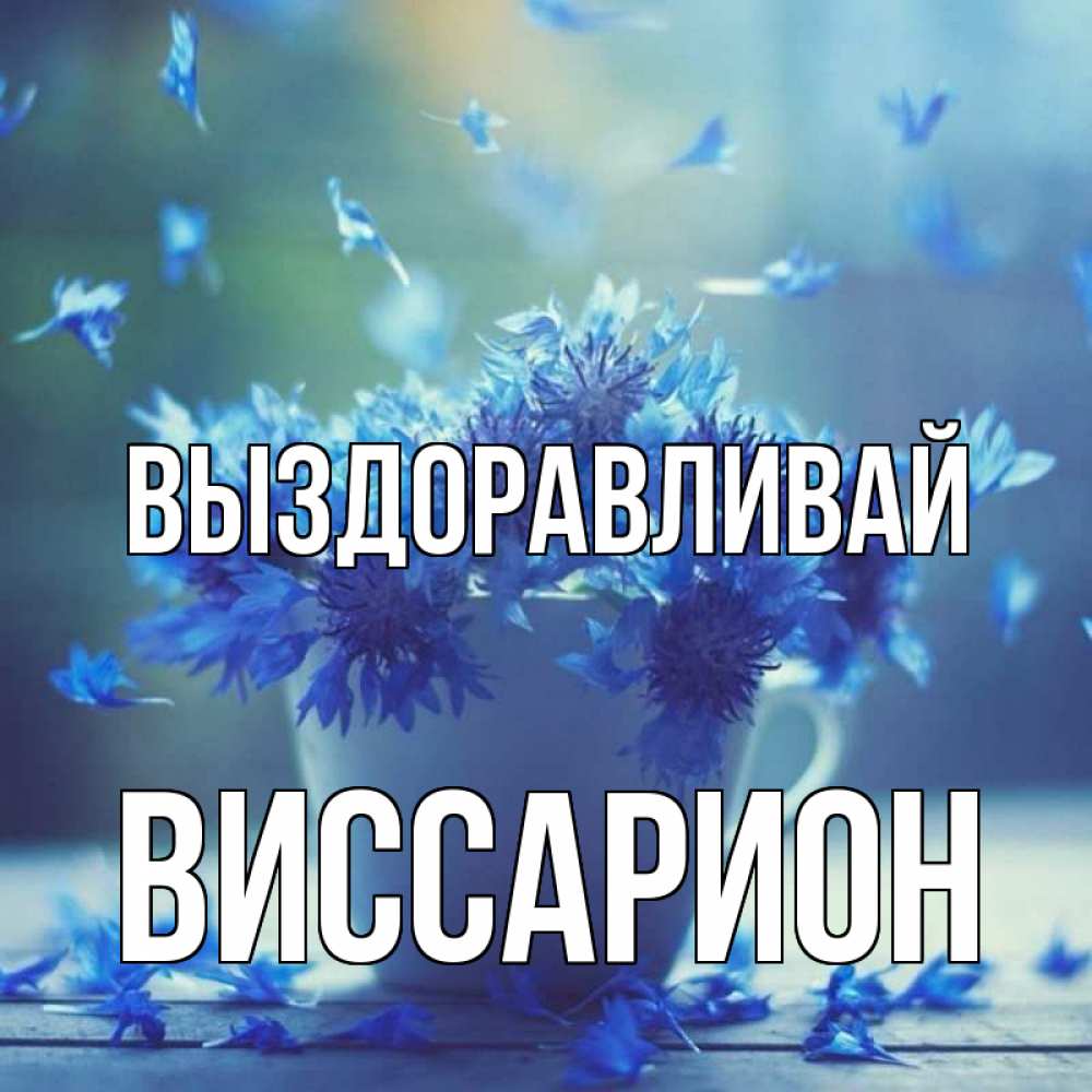Открытка на каждый день с именем, Виссарион Выздоравливай кружка с зельем и цветами Прикольная открытка с пожеланием онлайн скачать бесплатно 