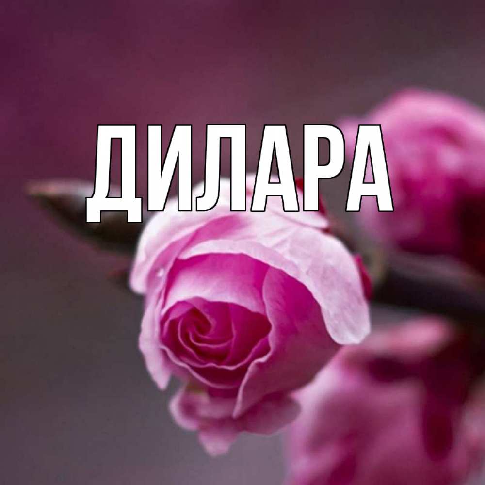 Открытка на каждый день с именем, Дилара Главная весна Прикольная открытка с пожеланием онлайн скачать бесплатно 