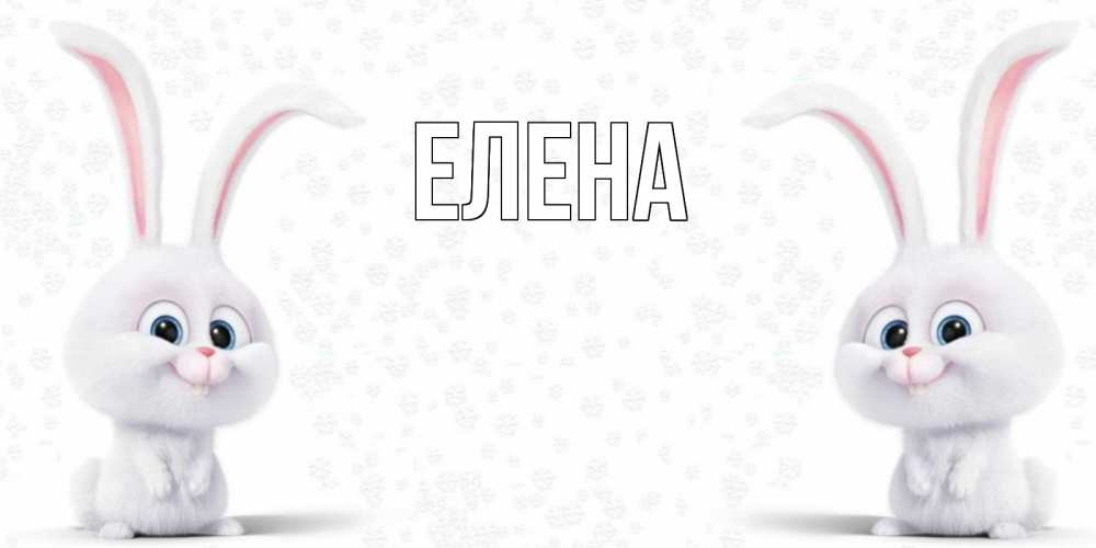 Открытка на каждый день с именем, Елена Главная не болей с зайцем Прикольная открытка с пожеланием онлайн скачать бесплатно 