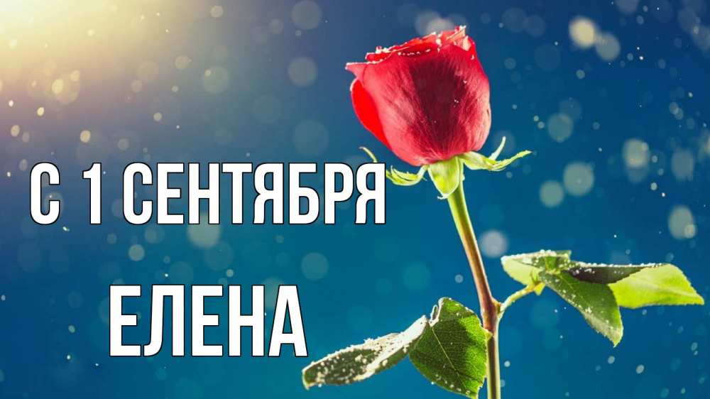 Открытка на каждый день с именем, Елена С 1 сентября с днем знаний Прикольная открытка с пожеланием онлайн скачать бесплатно 