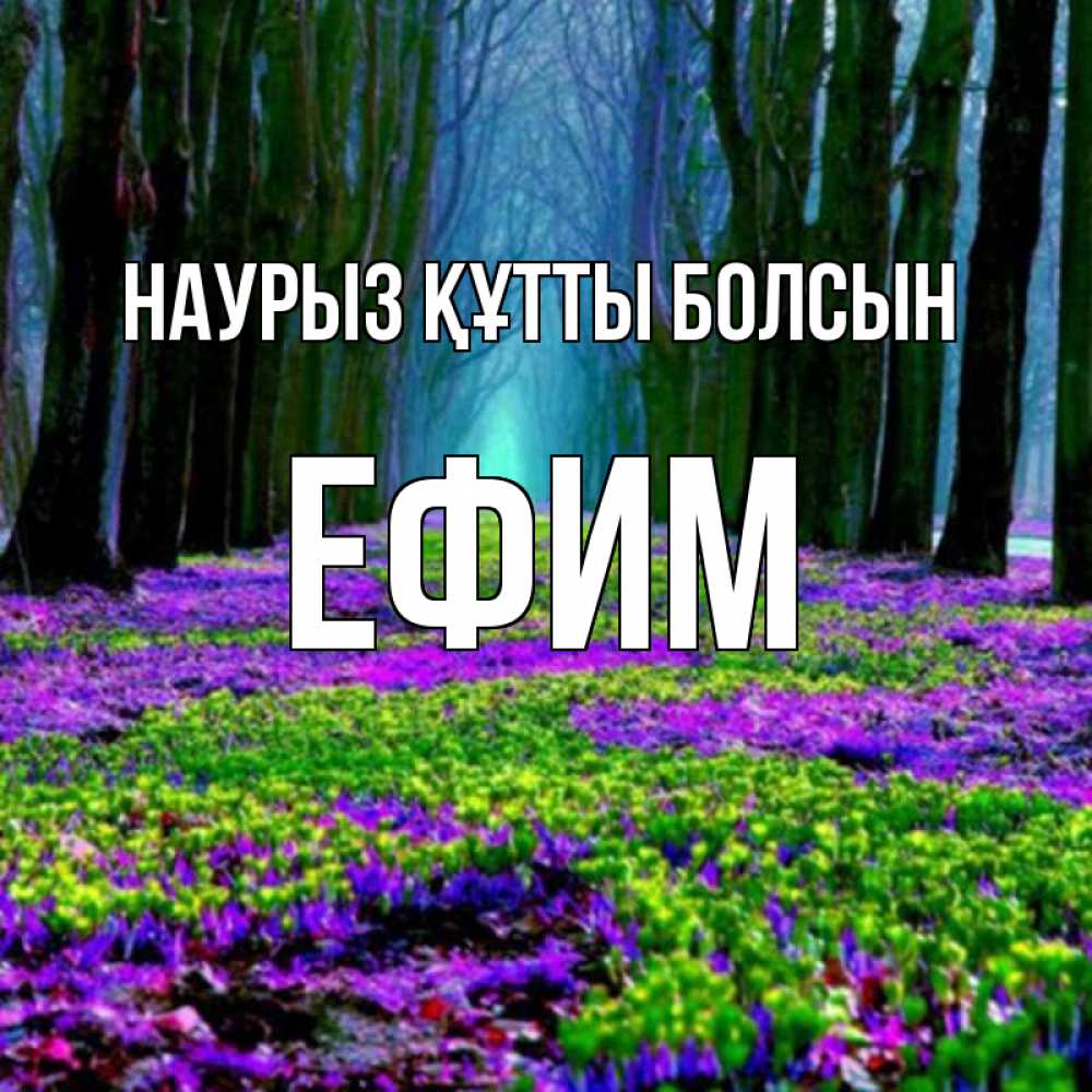 Открытка на каждый день с именем, Ефим Наурыз құтты болсын фиолетовые цветы в лесу 1 Прикольная открытка с пожеланием онлайн скачать бесплатно 