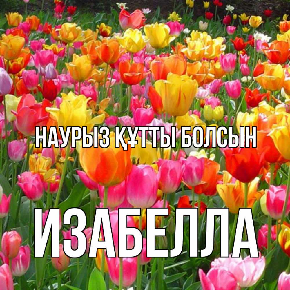 Открытка на каждый день с именем, Изабелла Наурыз құтты болсын на наурыз  ура ура Прикольная открытка с пожеланием онлайн скачать бесплатно 