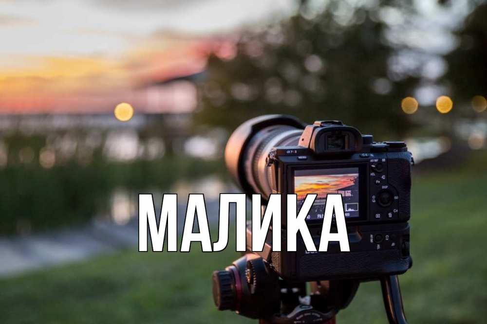 Открытка на каждый день с именем, Малика Главная с днем фотографа Прикольная открытка с пожеланием онлайн скачать бесплатно 