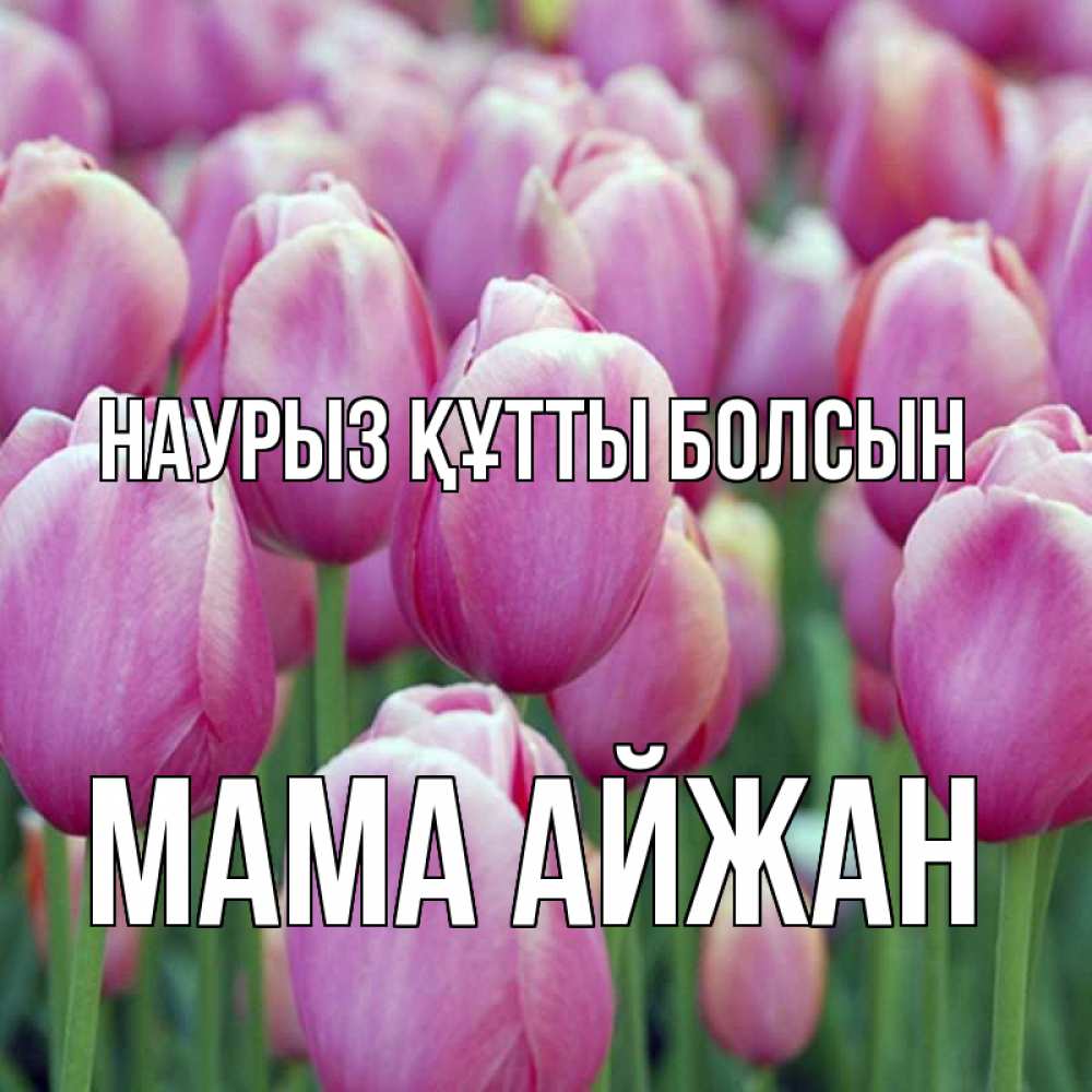 Открытка на каждый день с именем, Мама-Айжан Наурыз құтты болсын на наурыз  день 3 Прикольная открытка с пожеланием онлайн скачать бесплатно 