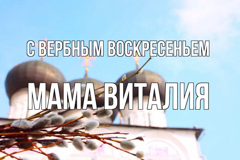 Открытка на каждый день с именем, Мама-Виталия С вербным воскресеньем верба Прикольная открытка с пожеланием онлайн скачать бесплатно 