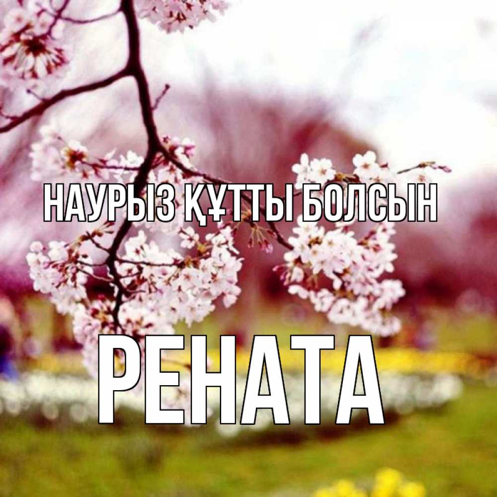 Открытка на каждый день с именем, Рената Наурыз құтты болсын яблоня Прикольная открытка с пожеланием онлайн скачать бесплатно 