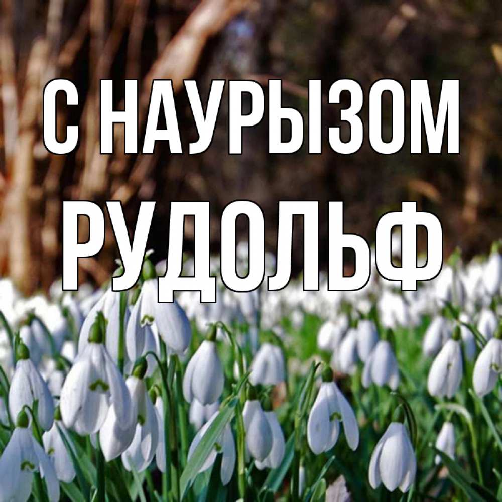 Открытка на каждый день с именем, Рудольф С наурызом с подснежниками 1 Прикольная открытка с пожеланием онлайн скачать бесплатно 