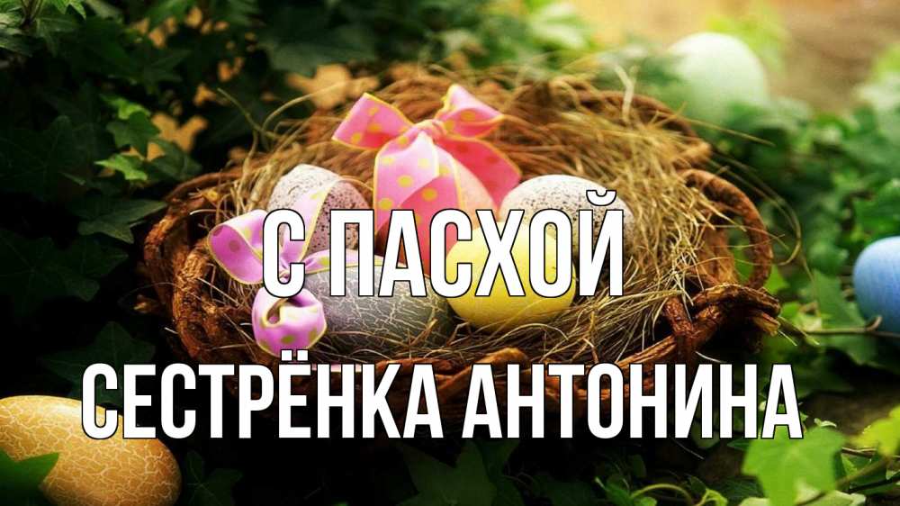 Открытка на каждый день с именем, Сестрёнка-Антонина С пасхой пасха Прикольная открытка с пожеланием онлайн скачать бесплатно 