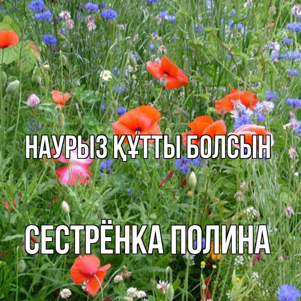 Открытка на каждый день с именем, Сестрёнка-Полина Наурыз құтты болсын наурыз  4 Прикольная открытка с пожеланием онлайн скачать бесплатно 