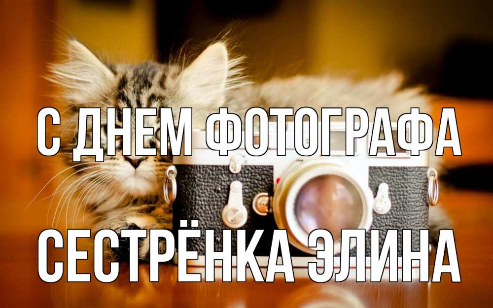 Открытка на каждый день с именем, Сестрёнка-Элина С днем фотографа с днем фотографа Прикольная открытка с пожеланием онлайн скачать бесплатно 