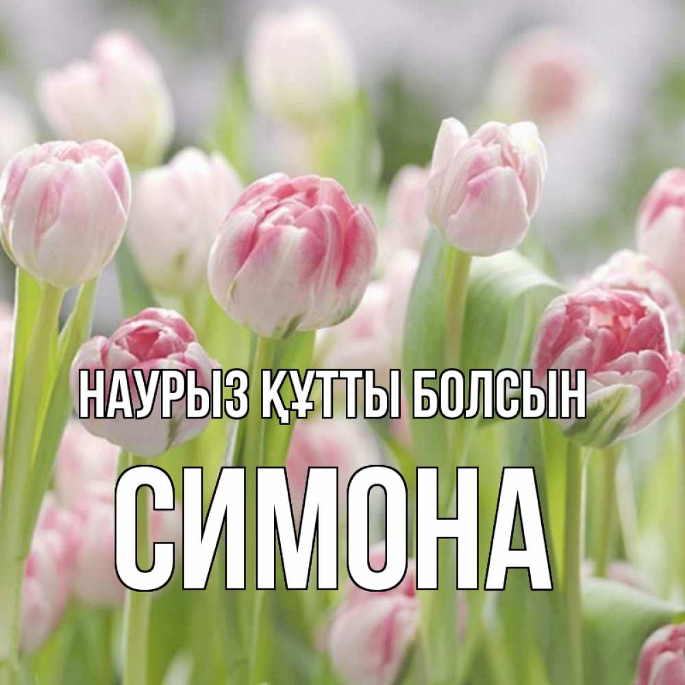 Открытка на каждый день с именем, Симона Наурыз құтты болсын цветы Прикольная открытка с пожеланием онлайн скачать бесплатно 