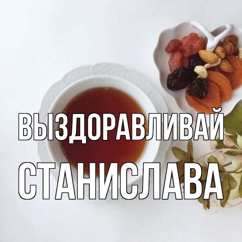 Открытка на каждый день с именем, Станислава Выздоравливай неизвестные растения Прикольная открытка с пожеланием онлайн скачать бесплатно 
