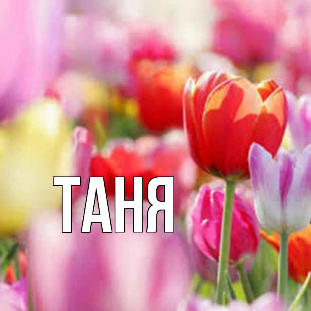 Открытка на каждый день с именем, Таня Главная праздник весны наурыз 67 Прикольная открытка с пожеланием онлайн скачать бесплатно 