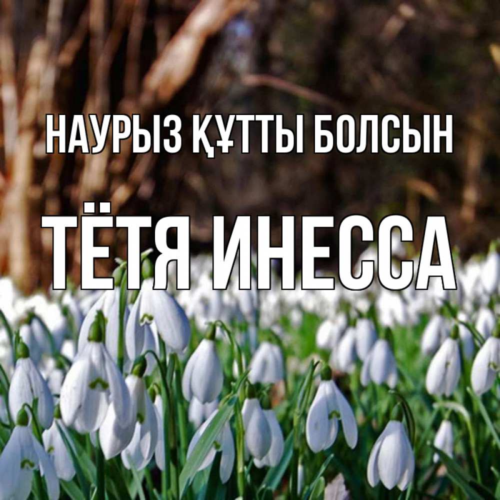 Открытка на каждый день с именем, Тётя-Инесса Наурыз құтты болсын с подснежниками 1 Прикольная открытка с пожеланием онлайн скачать бесплатно 