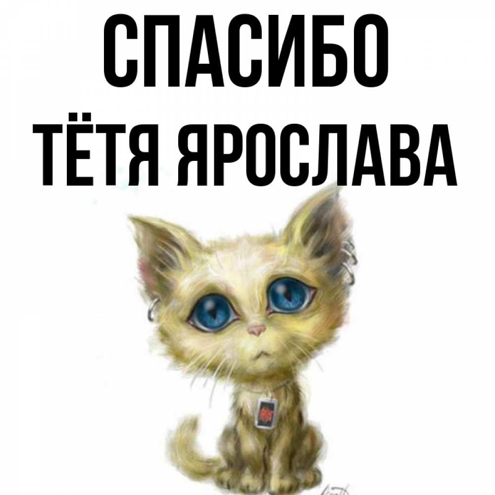 Открытка на каждый день с именем, Тётя-Ярослава Спасибо рисованный кот благодарит вас Прикольная открытка с пожеланием онлайн скачать бесплатно 