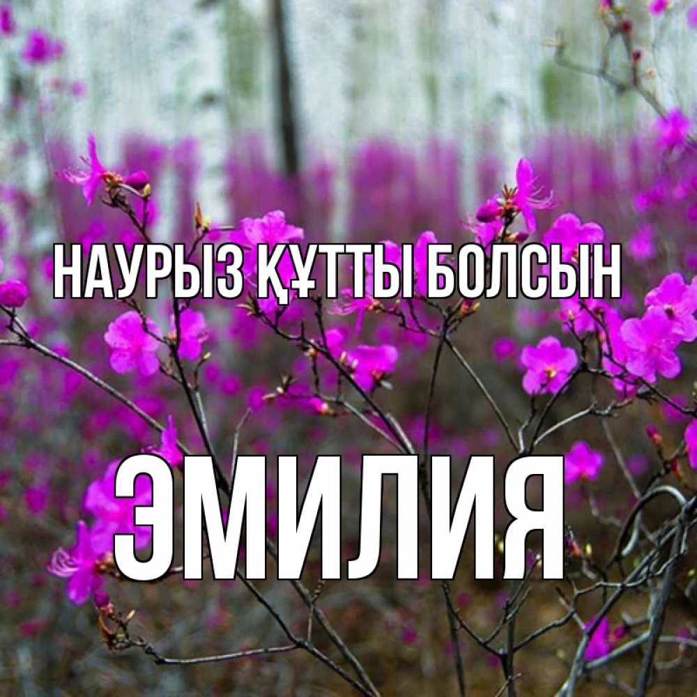 Открытка на каждый день с именем, Эмилия Наурыз құтты болсын дикие цветы Прикольная открытка с пожеланием онлайн скачать бесплатно 