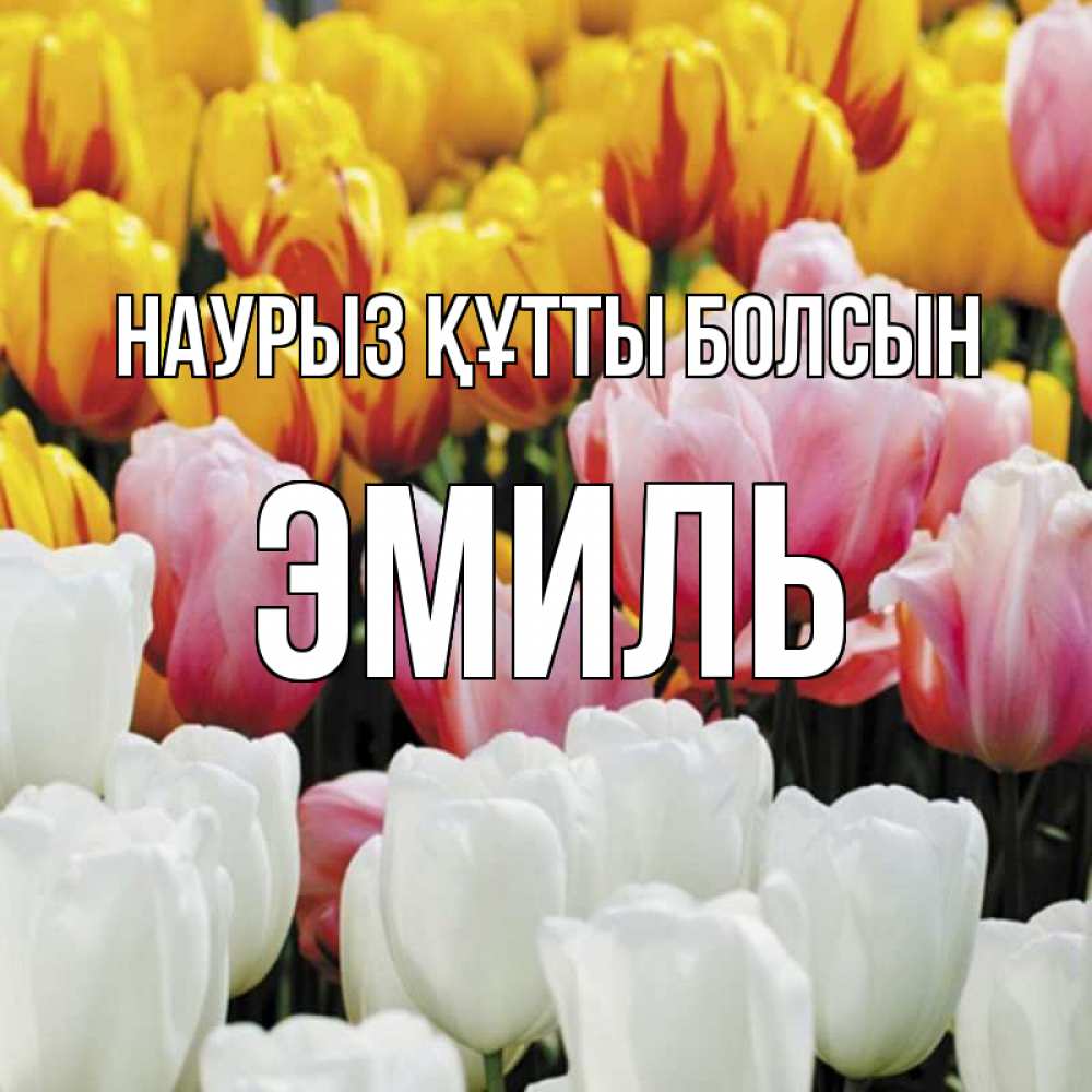 Открытка на каждый день с именем, Эмиль Наурыз құтты болсын разноцветные цветы Прикольная открытка с пожеланием онлайн скачать бесплатно 
