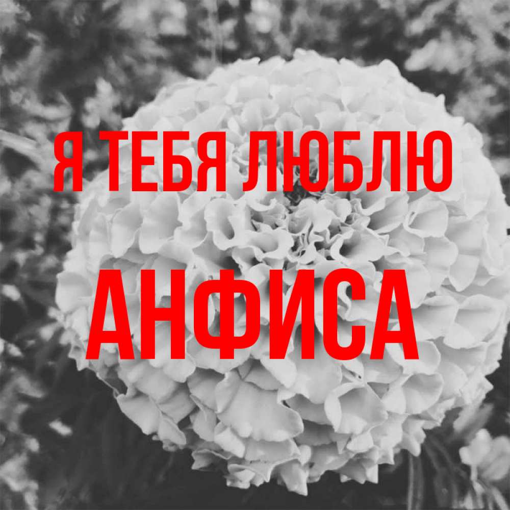 Открытка на каждый день с именем, Анфиса Я тебя люблю подпись Прикольная открытка с пожеланием онлайн скачать бесплатно 
