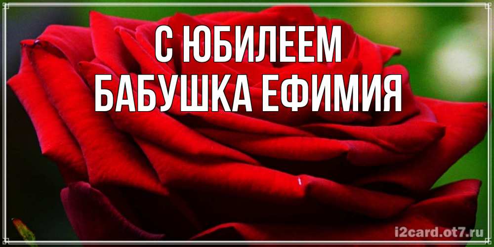 Открытка на каждый день с именем, Бабушка-Ефимия С юбилеем розочка очень красивая Прикольная открытка с пожеланием онлайн скачать бесплатно 
