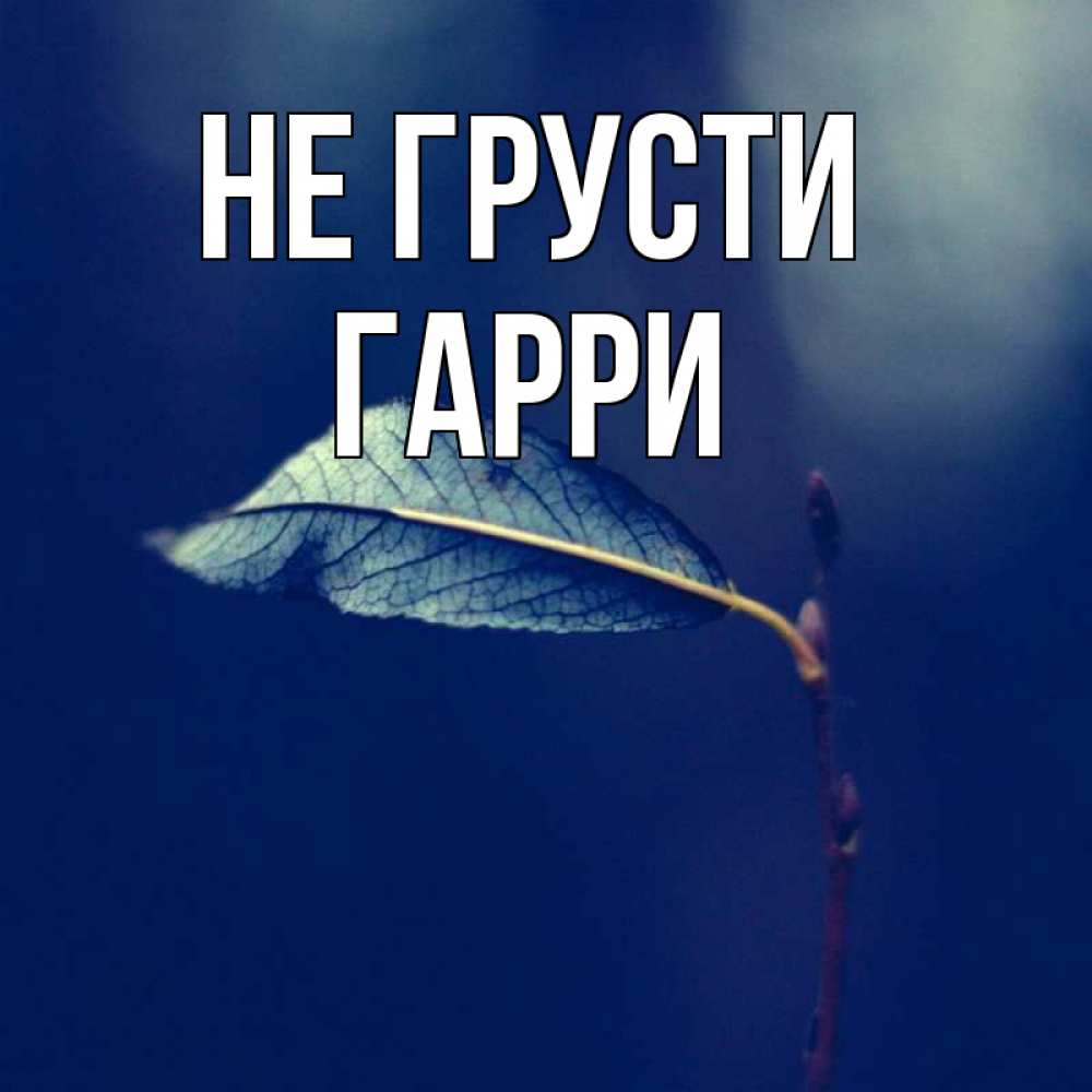 Открытка на каждый день с именем, Гарри Не грусти растение Прикольная открытка с пожеланием онлайн скачать бесплатно 