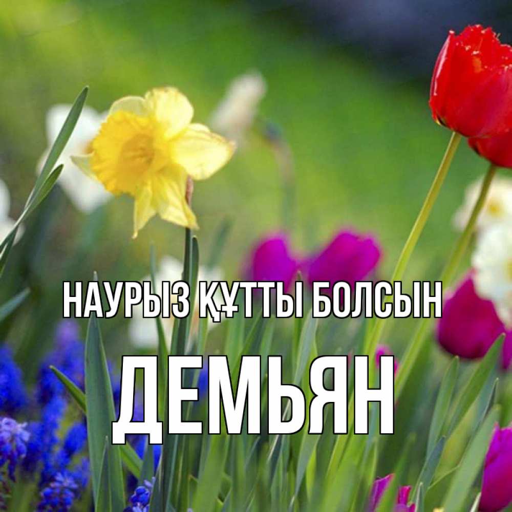 Открытка на каждый день с именем, Демьян Наурыз құтты болсын наурыз  3 открытки Прикольная открытка с пожеланием онлайн скачать бесплатно 