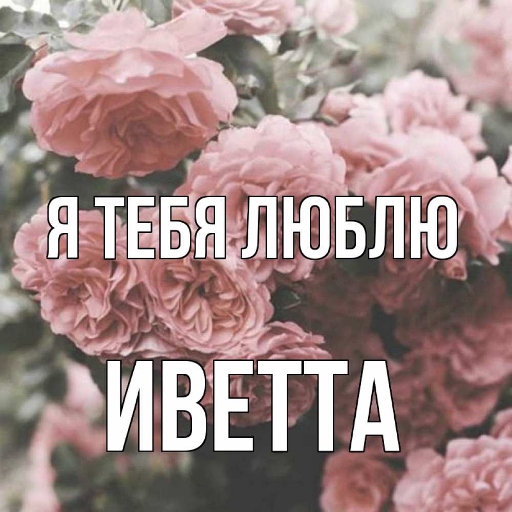 Открытка на каждый день с именем, Иветта Я тебя люблю розы 3 Прикольная открытка с пожеланием онлайн скачать бесплатно 