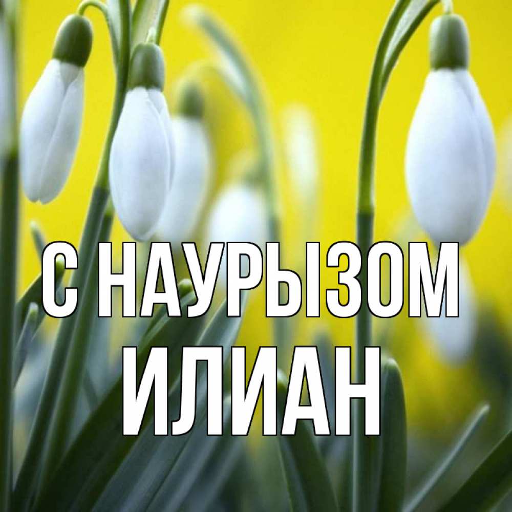 Открытка на каждый день с именем, Илиан С наурызом весенние цветы Прикольная открытка с пожеланием онлайн скачать бесплатно 
