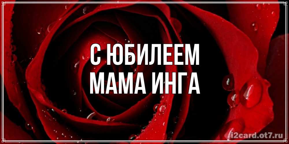 Открытка на каждый день с именем, Мама-Инга С юбилеем крупная бордовая роза Прикольная открытка с пожеланием онлайн скачать бесплатно 