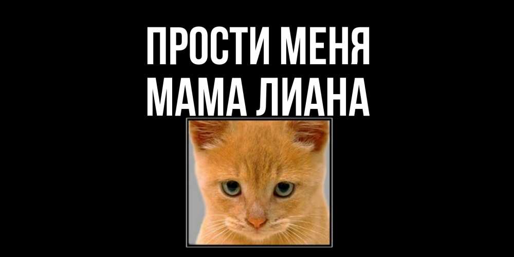 Открытка на каждый день с именем, Мама-Лиана Прости меня рыжий грустный кот просит прощения Прикольная открытка с пожеланием онлайн скачать бесплатно 