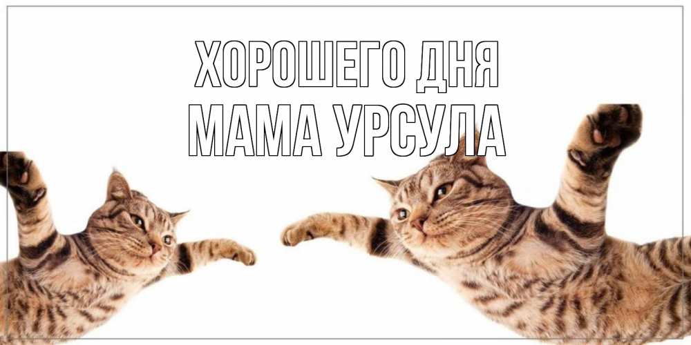 Открытка на каждый день с именем, Мама-Урсула Хорошего дня хорошего дня Прикольная открытка с пожеланием онлайн скачать бесплатно 