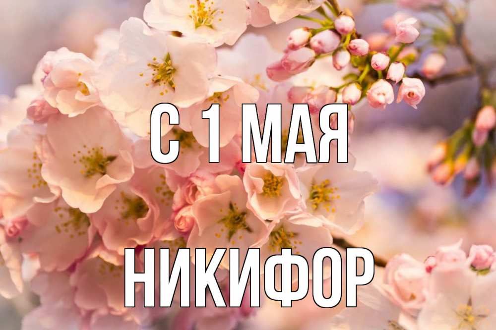 Открытка на каждый день с именем, Никифор С 1 мая С 1 мая Прикольная открытка с пожеланием онлайн скачать бесплатно 