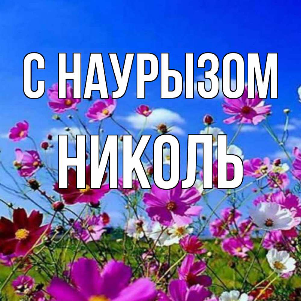 Открытка на каждый день с именем, Николь С наурызом цветы Прикольная открытка с пожеланием онлайн скачать бесплатно 