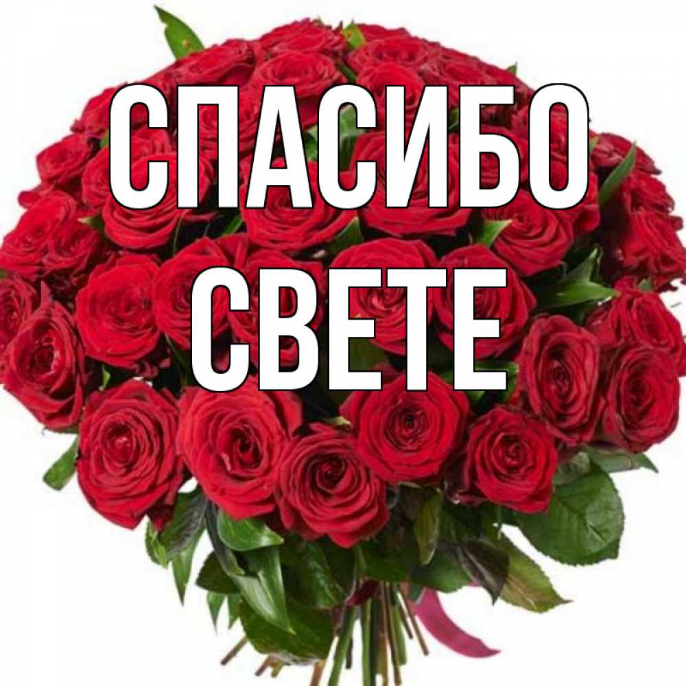 Спасибо Света Картинки Красивые