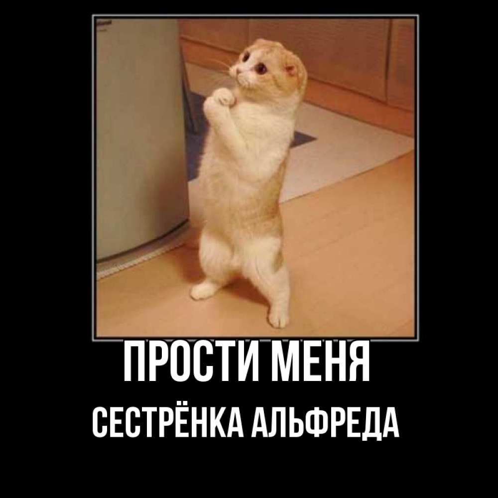 Открытка на каждый день с именем, Сестрёнка-Альфреда Прости меня открытка с милым несчастным котиком просящим прощения Прикольная открытка с пожеланием онлайн скачать бесплатно 