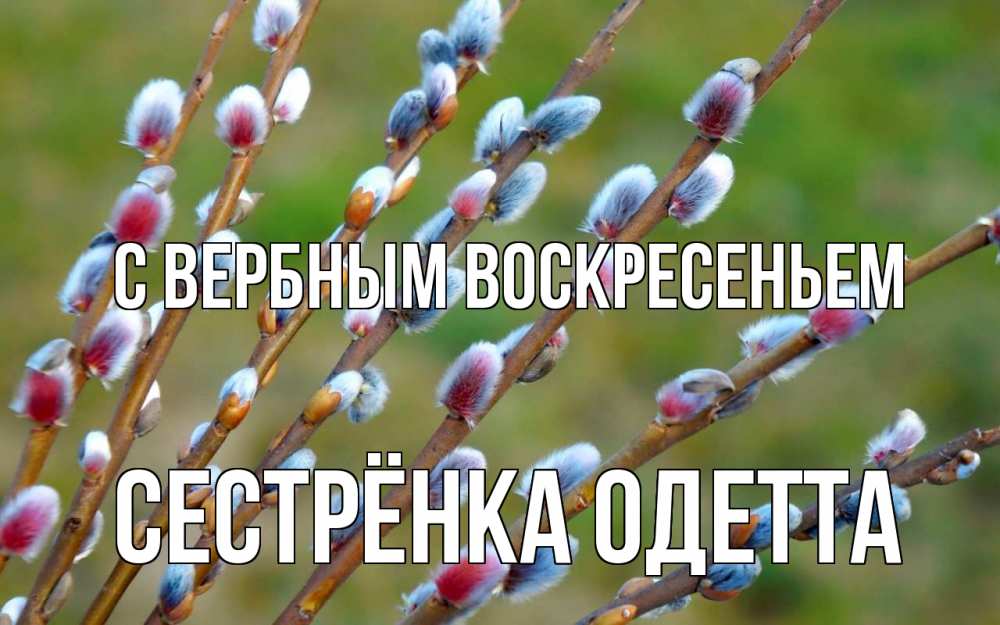 Открытка на каждый день с именем, Сестрёнка-Одетта С вербным воскресеньем верба Прикольная открытка с пожеланием онлайн скачать бесплатно 