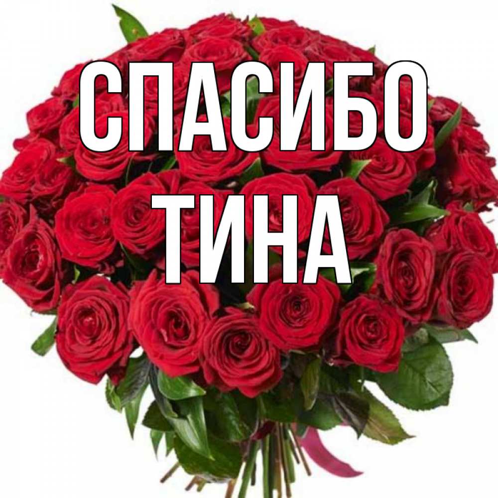 Открытка на каждый день с именем, Тина Спасибо букет красных роз Прикольная открытка с пожеланием онлайн скачать бесплатно 