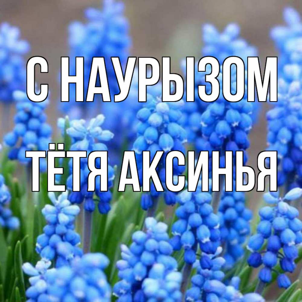 Открытка на каждый день с именем, Тётя-Аксинья С наурызом Поздравительная открытка для женщин с цветами на праздничную дату Прикольная открытка с пожеланием онлайн скачать бесплатно 