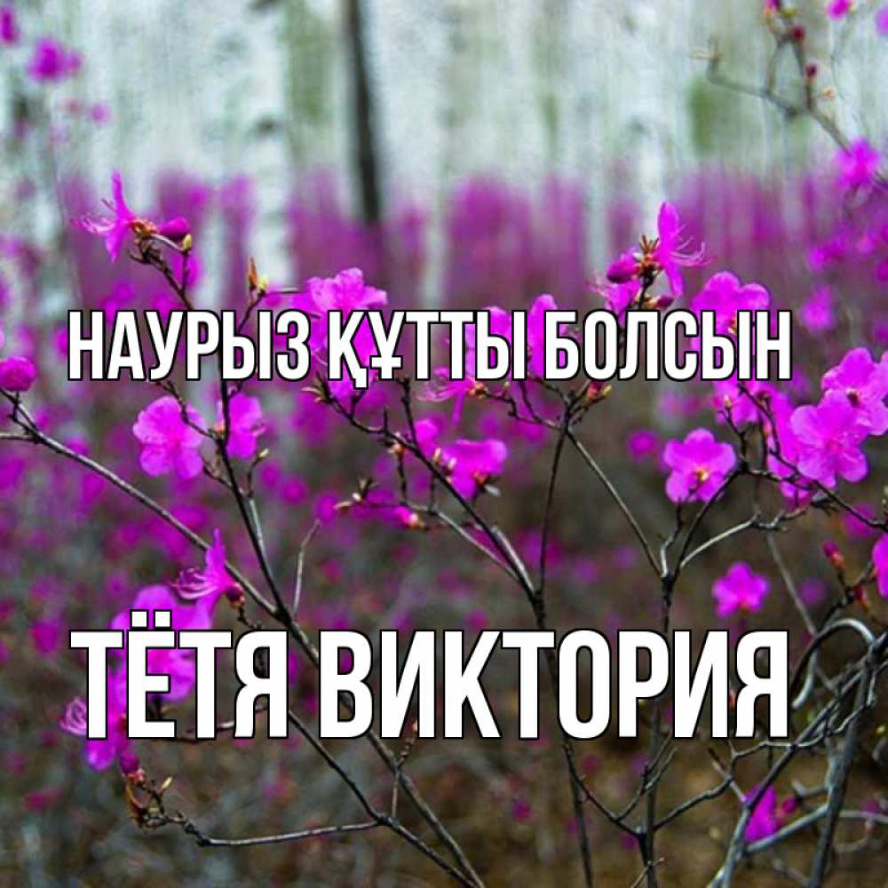 Открытка на каждый день с именем, Тётя-Виктория Наурыз құтты болсын дикие цветы Прикольная открытка с пожеланием онлайн скачать бесплатно 