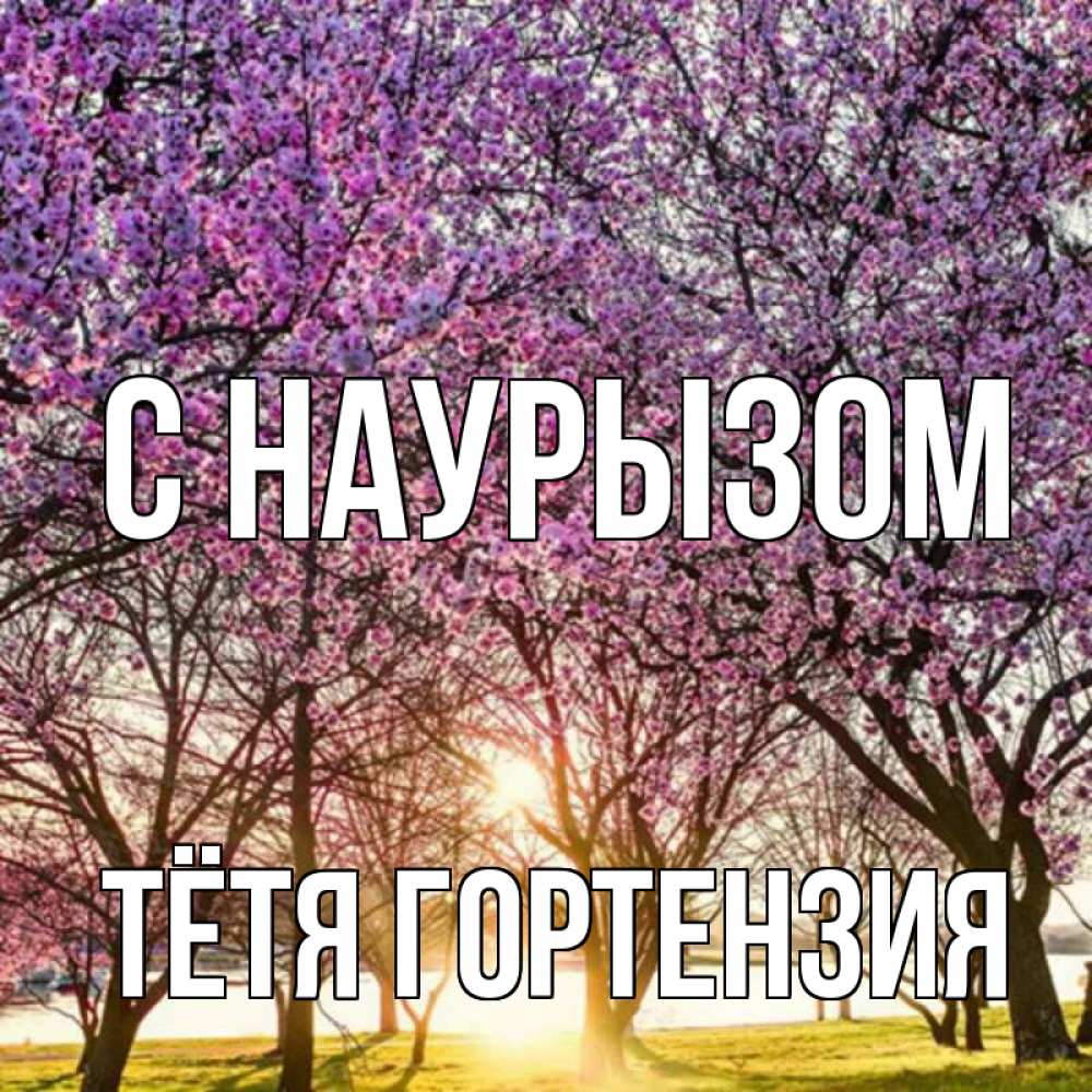 Открытка на каждый день с именем, Тётя-Гортензия С наурызом праздник весны наурыз Прикольная открытка с пожеланием онлайн скачать бесплатно 