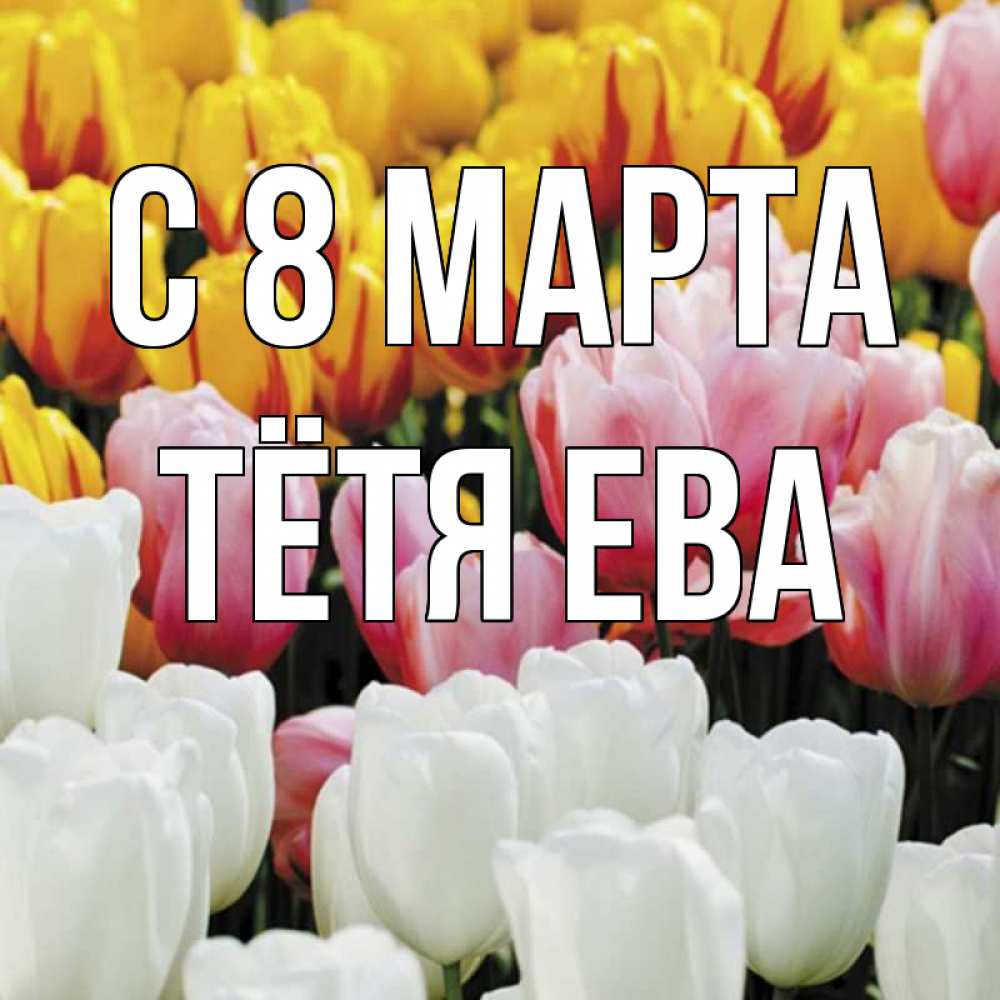 Открытка на каждый день с именем, Тётя-Ева С 8 МАРТА разноцветные цветы Прикольная открытка с пожеланием онлайн скачать бесплатно 