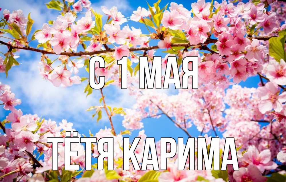 Открытка на каждый день с именем, Тётя-Карима С 1 мая С 1 мая Прикольная открытка с пожеланием онлайн скачать бесплатно 