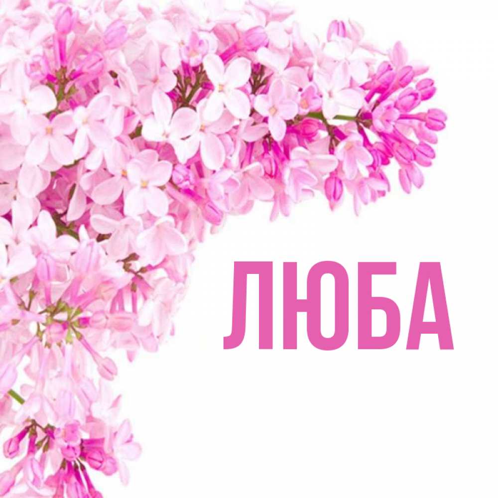 Люба имя картинки
