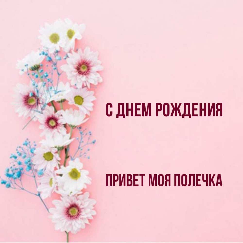 Полечка с днем рождения картинки