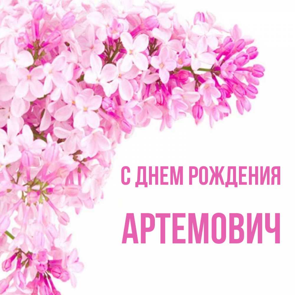 Открытка на каждый день с именем, Артемович С днем рождения Сирень на белом фоне Прикольная открытка с пожеланием онлайн скачать бесплатно 