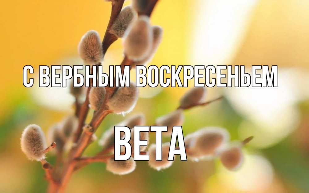 Открытка на каждый день с именем, Вета С вербным воскресеньем верба Прикольная открытка с пожеланием онлайн скачать бесплатно 
