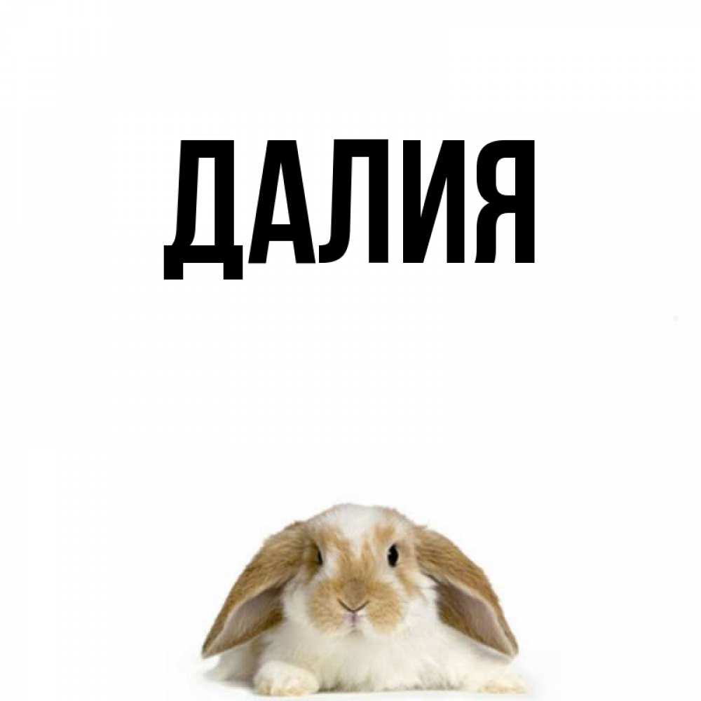 Открытка на каждый день с именем, Далия Главная открытки с произвольным текстом который можно вставить в открытку и создать ее самостоятельно бесплатно онлайн Прикольная открытка с пожеланием онлайн скачать бесплатно 
