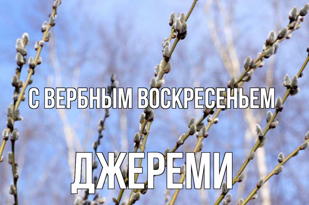 Открытка на каждый день с именем, Джереми С вербным воскресеньем верба Прикольная открытка с пожеланием онлайн скачать бесплатно 