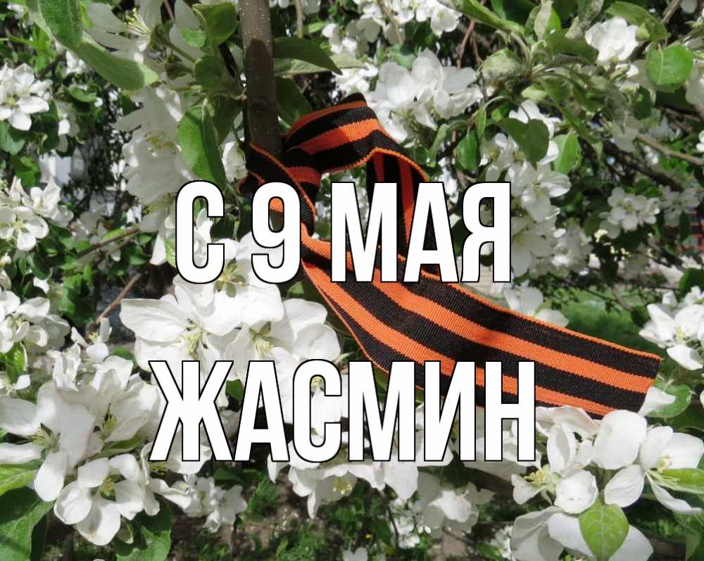 Открытка на каждый день с именем, Жасмин С 9 мая 9 мая Прикольная открытка с пожеланием онлайн скачать бесплатно 